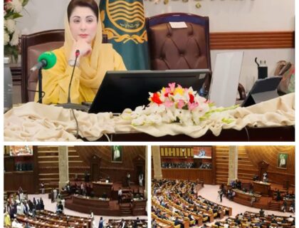 پی ایچ اے میں بڑی تبدیلیوں کا فیصلہ،پنجاب کابینہ نے پنجاب ہارٹیکلچر اتھارٹی کے قیام کا بل منظور کر لیا،اسمبلی میں پیش