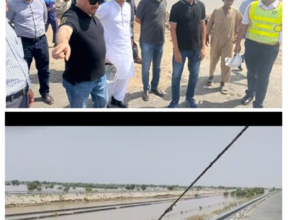 وفاقی وزیرِ توانائی و پٹرولیم علی پرویز ملک کا دورہ ملتان، گیس سپلائی کی بلا تعطل فراہمی کو یقینی بنانے کے اقدامات